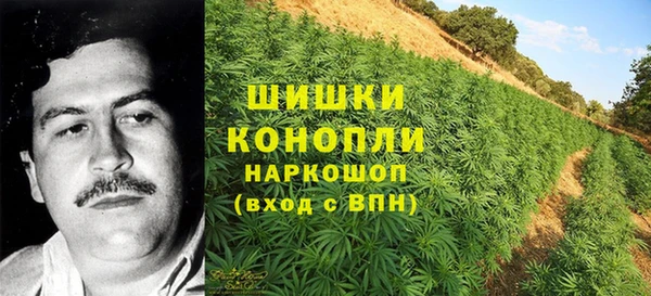 гидра Абдулино