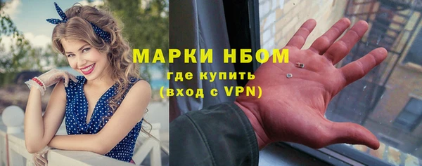 гидра Абаза